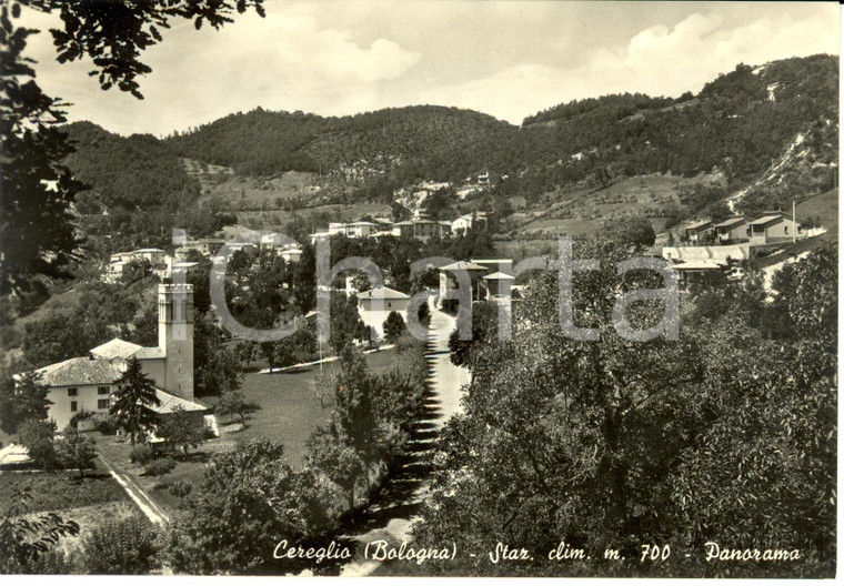 1964 CEREGLIO (BO) Panorama della città *Cartolina Postale FG NV
