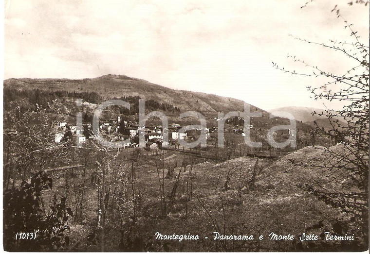 1959 MONTEGRINO VALTRAVAGLIA (VA) Panorama con Monte Sette Termini *Cartolina FG