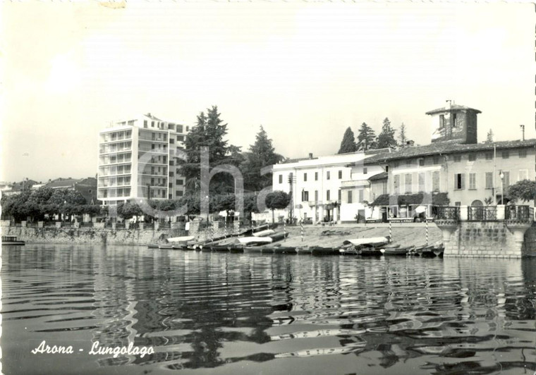 1955 ARONA (NO) Scorcio panoramico del LAGO MAGGIORE *Cartolina postale FG VG