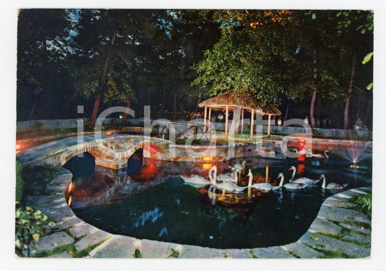 1963 VIAREGGIO (LU) Laghetto dei cigni di notte *Cartolina VINTAGE ANIMATA FG VG