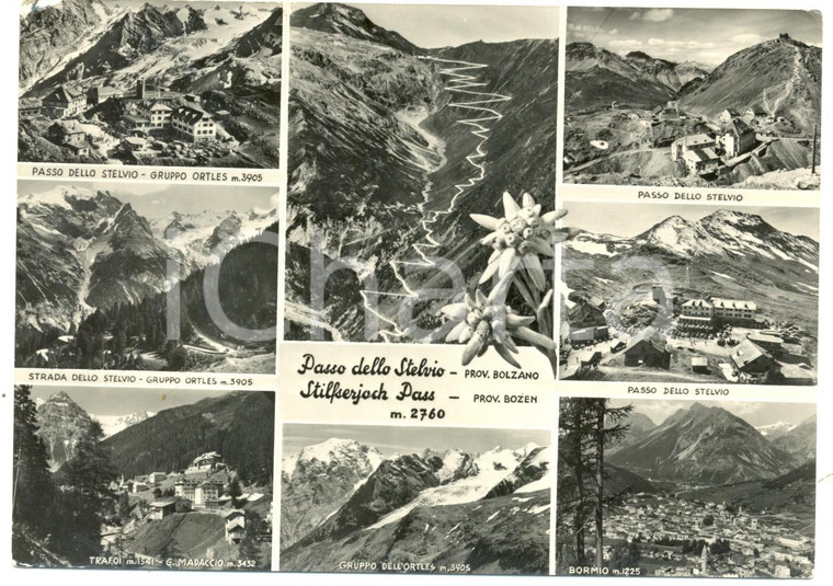 1961 PASSO STELVIO (BZ) Vedutine Gruppo ORTLES TRAFOI BORMIO *Cartolina FG VG
