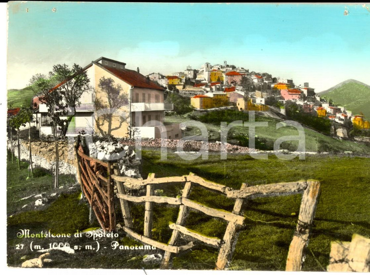 1954 MONTELEONE DI SPOLETO (PG) Panorama di campagna *Cartolina FG VG