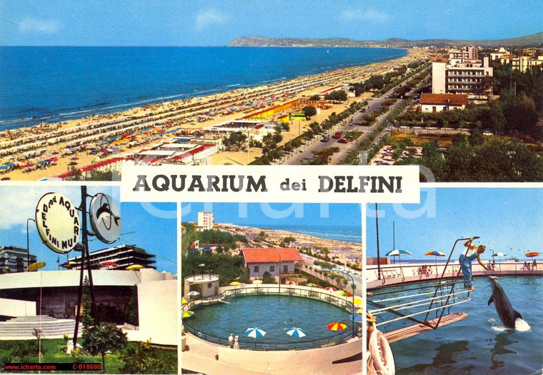 1964 RICCIONE (RN) Lungomare e Aquarium dei delfini *Cartolina VINTAGE FG VG