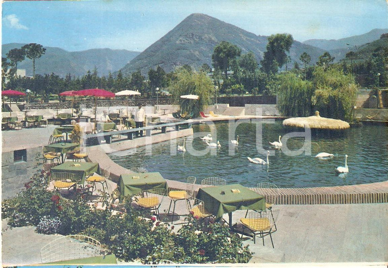 1971 CASTELLAMMARE DI STABIA (NA) Nuove Terme - Cigni nella piscina Cartolina FG