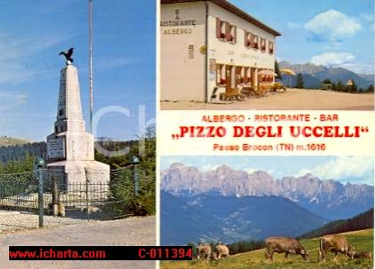 1984 CASTELLO TESINO (TN) Albergo PIZZO DEGLI UCCELLI Vedutine *Cartolina FG VG