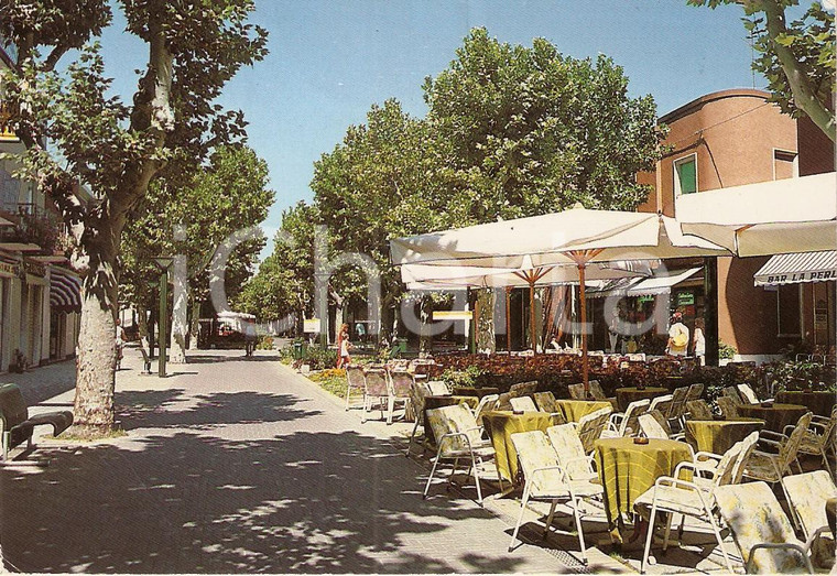 1980 ca BELLARIA IGEA MARINA (RN) Viale Paolo Guidi Isola dei platani *Cartolina