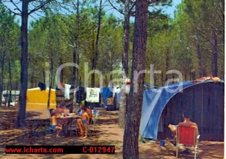 1972 PUNTA ALA (GR) International Camping BAIA VERDE Vintage *Cartolina FG NV