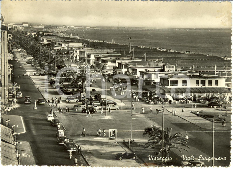 1954 VIAREGGIO (LU) Veduta dei viali sul lungomare *Pubblicità FIAT FG VG