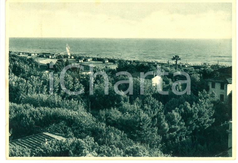 1938 MARINA DI PIETRASANTA (LU) Veduta pineta sul mare *Cartolina FG VG