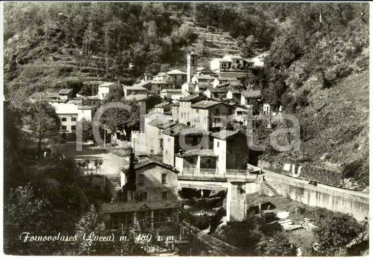 1950 ca FORNOVOLASCO (LU)  Veduta panoramica del paese *Cartolina FG NV