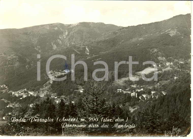 1957 BADIA PRATAGLIA (AR) Panorama visto dai Mandrioli *Cartolina FG VG