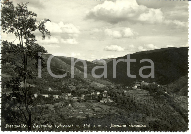 1956 SERRAVALLE DI BIBBIENA (AR) Veduta della vallata del CASENTINO *FG VG