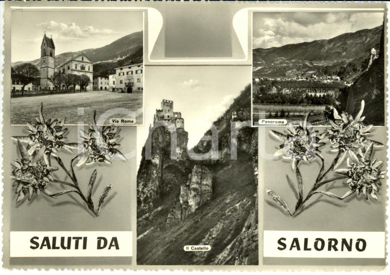 1950 ca SALORNO (BZ) Vedutine con via ROMA e castello *Cartolina FG NV