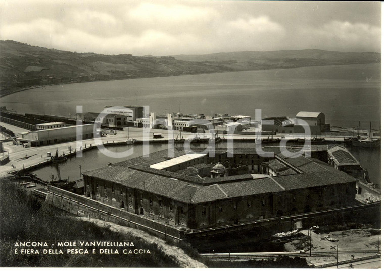 1950 ca ANCONA Mole VANVITELLIANA e Fiera della pesca e della caccia *FG NV