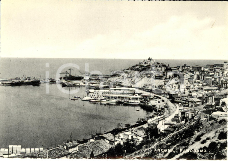 1960 ca ANCONA Veduta panoramica del porto e litorale cittadino *Cartolina FG NV