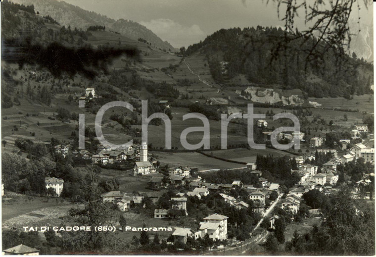 1955 PIEVE DI CADORE (BL) Frazione TAI con panorama montano *cartolina FG VG