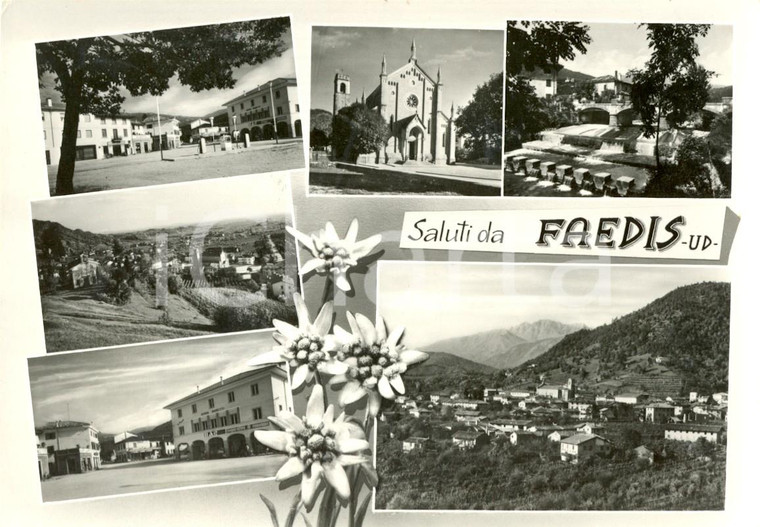 1971 FAEDIS (UD) Vedutine PONTE GRIVO - Santa Maria Assunta Cartolina postale FG