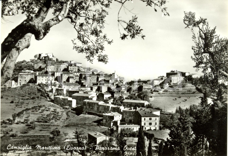 1960 ca CAMPIGLIA MARITTIMA (LI) Panorama dal lato ovest *Cartolina FG NV