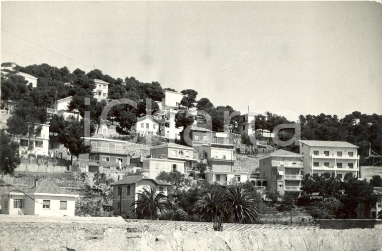 1955 ca ANDORA (SV) Veduta panoramica della Pineta *Cartolina FG VG