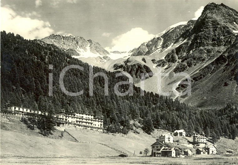 1955 ca STELVIO (BZ) Veduta del Grand Hotel SULDEN a SOLDA *Cartolina FG VG