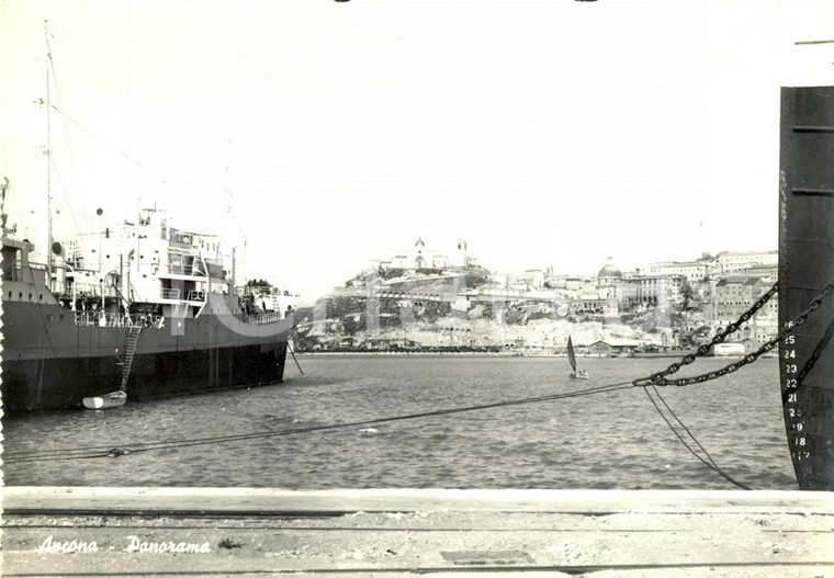 1950 ca ANCONA Panorama del porto e della città con DUOMO di SAN CIRIACO *FG NV