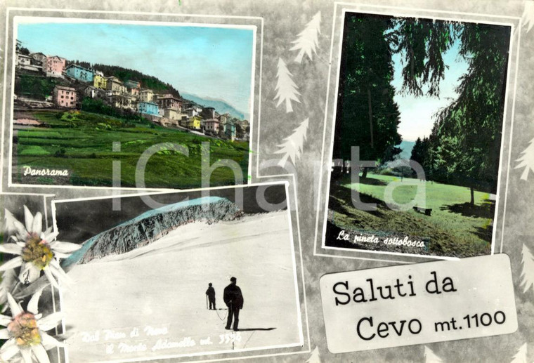1964 CEVO (BS) Vedutine del paese e del Monte ADAMELLO *Cartolina ANIMATA FG VG