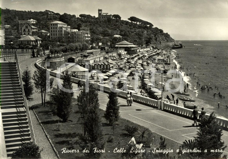 1956 CELLE LIGURE (SV) Spiaggia e giardini sul mare *Cartolina ANIMATA FG VG