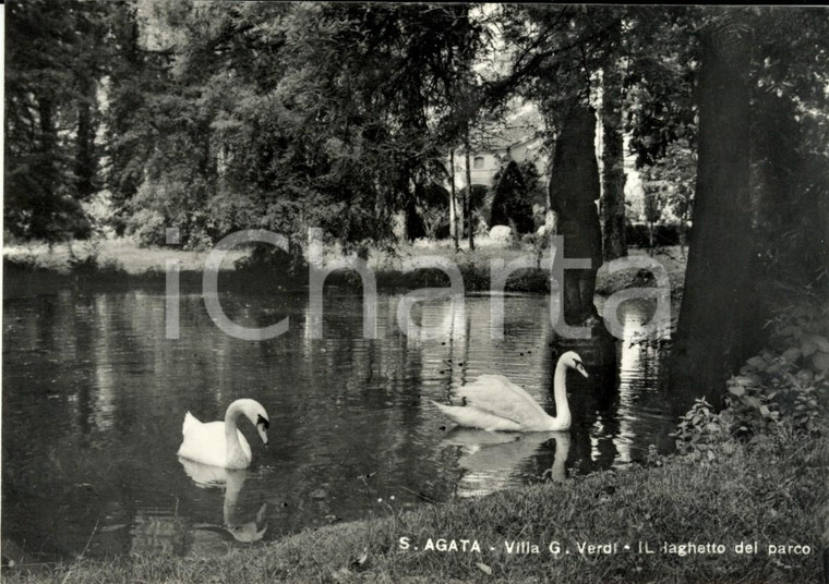 1965 SANT'AGATA (PR) Il laghetto del parco Villa Giuseppe VERDI *Cartolina FG NV