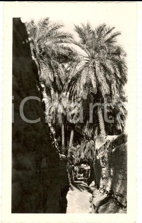 1934 GADAMES (LIBIA) Una via dell'oasi - Gino MATTEUCCI *Prototipo di cartolina
