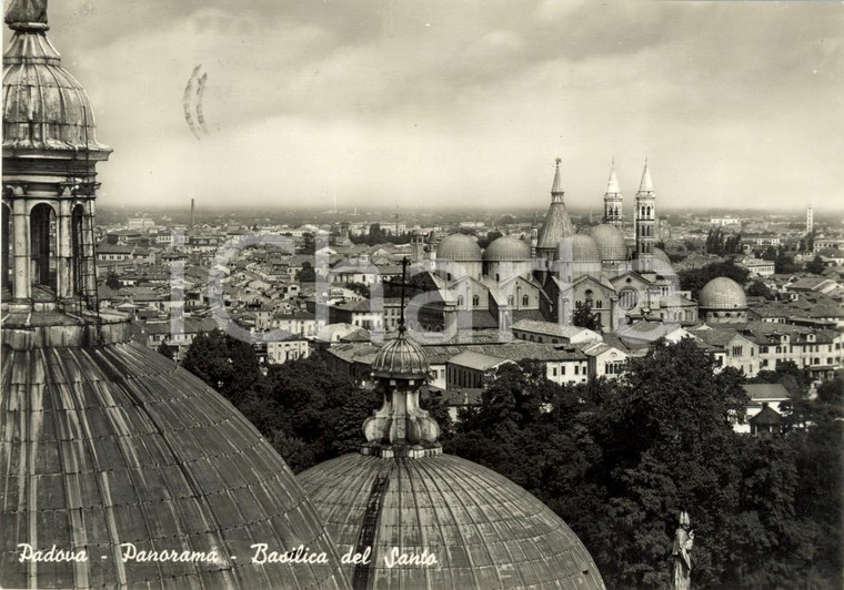 1958 PADOVA Panorama tetti città con Basilica di SANT'ANTONIO *Cartolina FG VG
