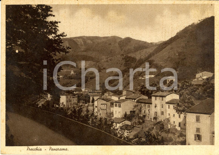 1940 PISTOIA Panorama della frazione montana PRACCHIA *Cartolina postale FG VG