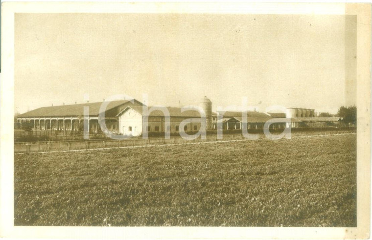 1935 ca VIDIGULFO (PV) Azienda Agricola VAIRANO *Cartolina FP NV