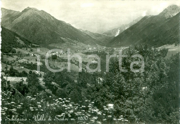 1955 ca SCHILPARIO (BG) Panorama della Valle di SCALVE *Cartolina FG NV