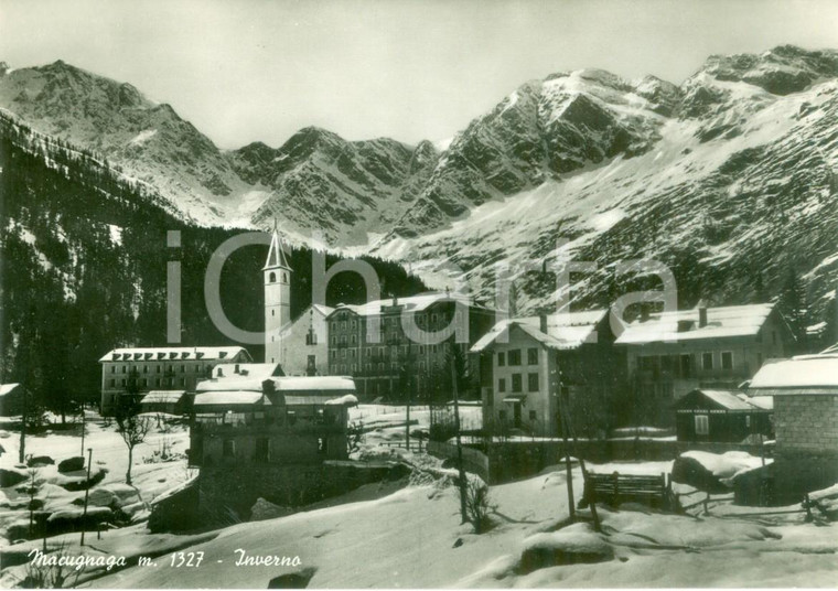 1955 ca MACUGNAGA (VB) Panorama invernale del paese *Cartolina FG NV