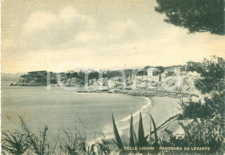 1950 ca CELLE LIGURE (SV) Panorama da Levante *Cartolina FG VG