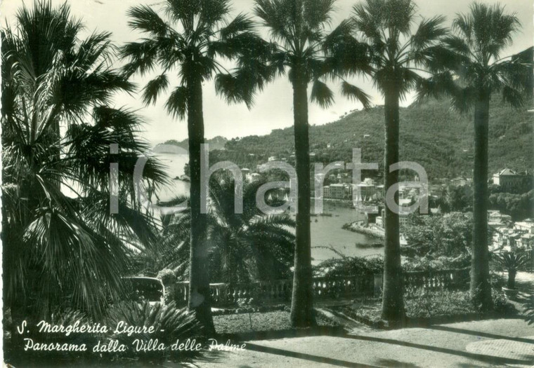 1957 SANTA MARGHERITA LIGURE (GE) Panorama da Villa delle Palme *Cartolina FG VG