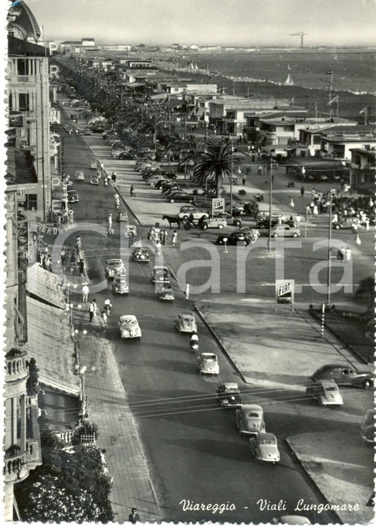 1957 VIAREGGIO (LU) Scorcio panoramico dall'alto viali LUNGOMARE *ANIMATA FG VG