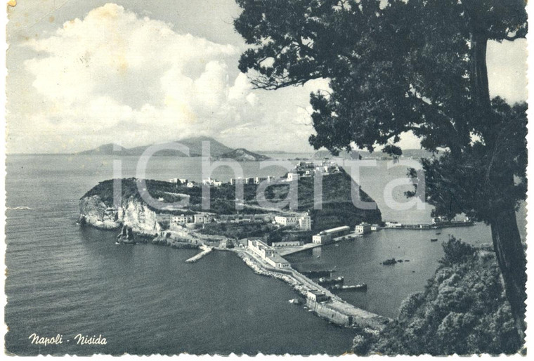 1954 NAPOLI Veduta panoramica dell'isola di NISIDA *Cartolina FG VG