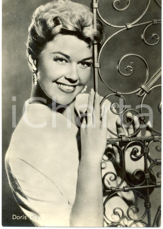 1955 ca CINEMA Doris DAY Attrice Ritratto fotografico *Cartolina FG NV