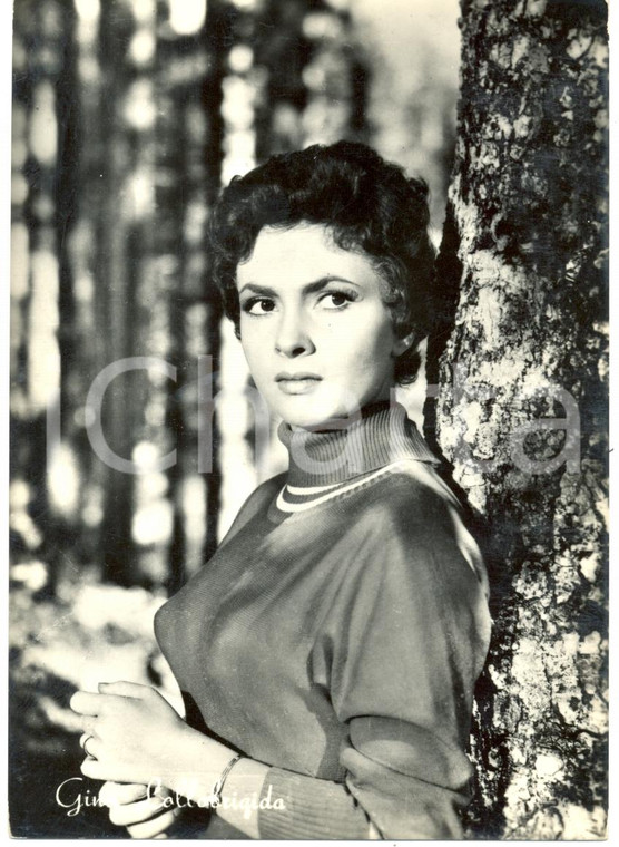 1955 ca CINEMA Gina LOLLOBRIGIDA Ritratto fotografico *Cartolina FG NV