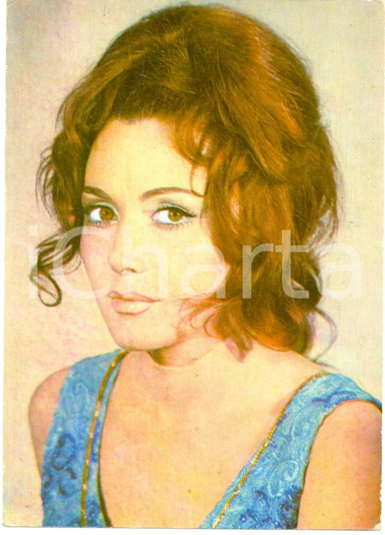 1970 ca ROMANIA Attrice Violeta ANDREI Ritratto fotografico *Cartolina FG NV