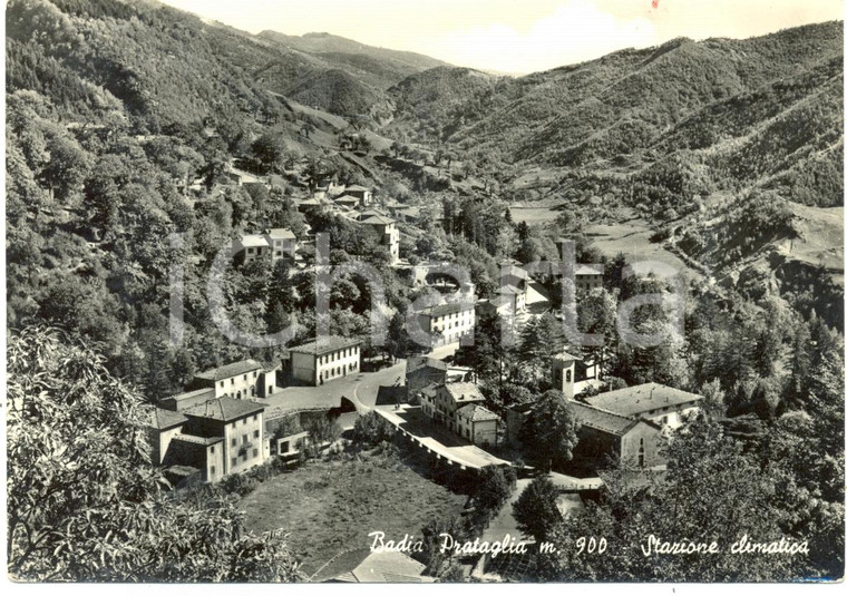 1958 POPPI (AR) Panorama stazione climatica BADIA PRATAGLIA *Cartolina FG VG