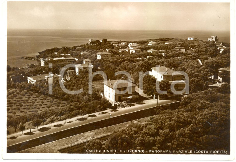 1955 ca CASTIGLIONCELLO (LI) Veduta panoramica Costa FIORITA *Cartolina FG NV