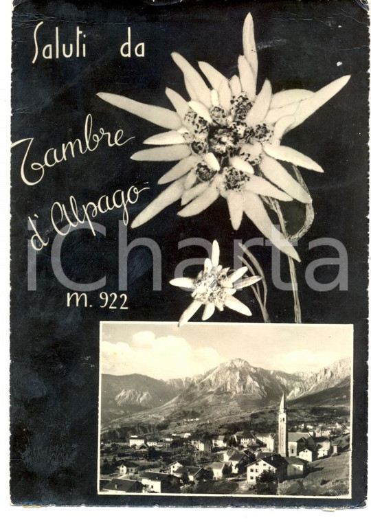 1965 TAMBRE D'ALPAGO (BL) Vedutine del paese e DOLOMITI *Cartolina FG VG
