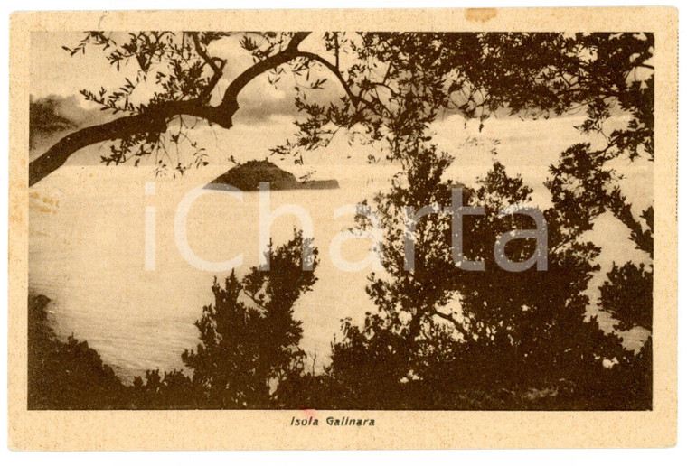 1948 Isola Gallinara, vedutina d'epoca