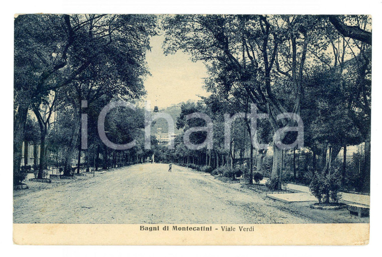 1923 MONTECATINI TERME (PT) Veduta di viale Giuseppe VERDI *Cartolina FP VG