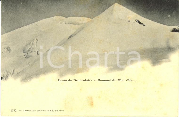 1900 ca MONT BLANC (FRANCE) Bosse du dromadaire et sommet *Cartolina postale FP