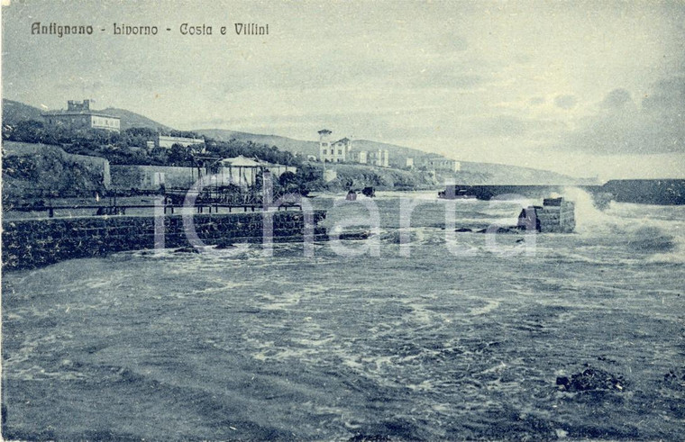 1920 ca LIVORNO Veduta della costa e dei villini di ANTIGNANO dal mare *FP NV
