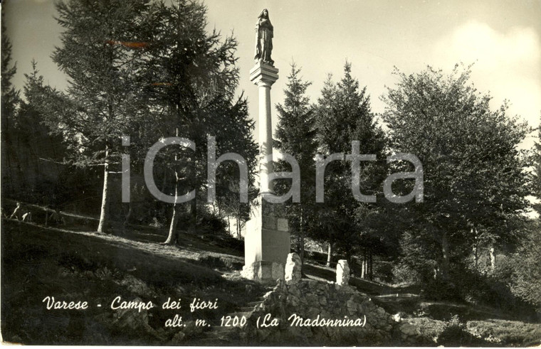 1948 VARESE Campo dei Fiori LA MADONNINA *Cartolina postale FP VG