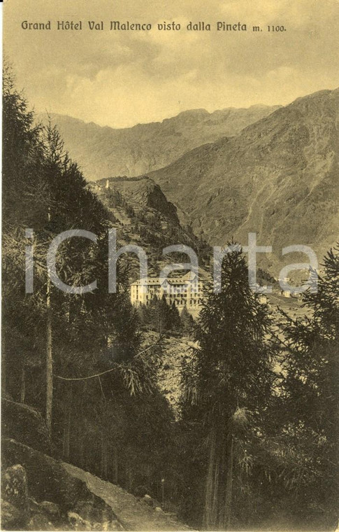 1920 ca CHIESA VALMALENCO (SO) Il grand hotel visto dalla pineta *Cartolina FP